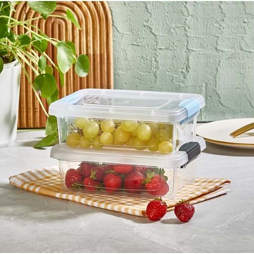 ORGANİZERS ORG-461 MY BOX ORGANIZER BOX 0,80 LT (36)