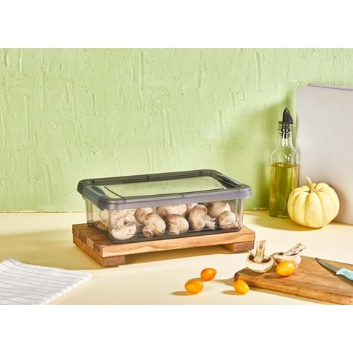 ORGANİZERS ORG-463-GR FRESH & CLINK SAKLAMA KABI (24)